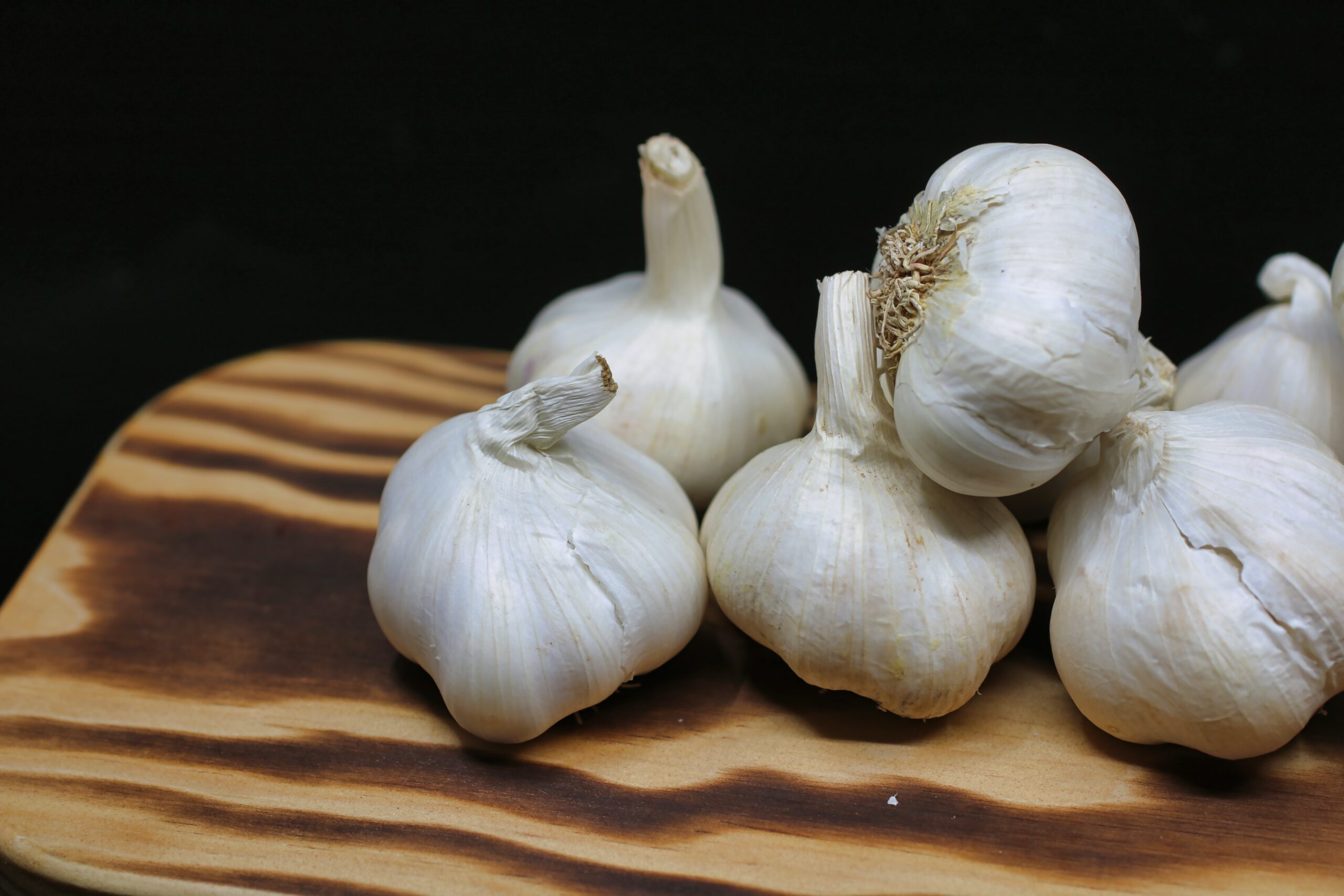 garlic-bulbs