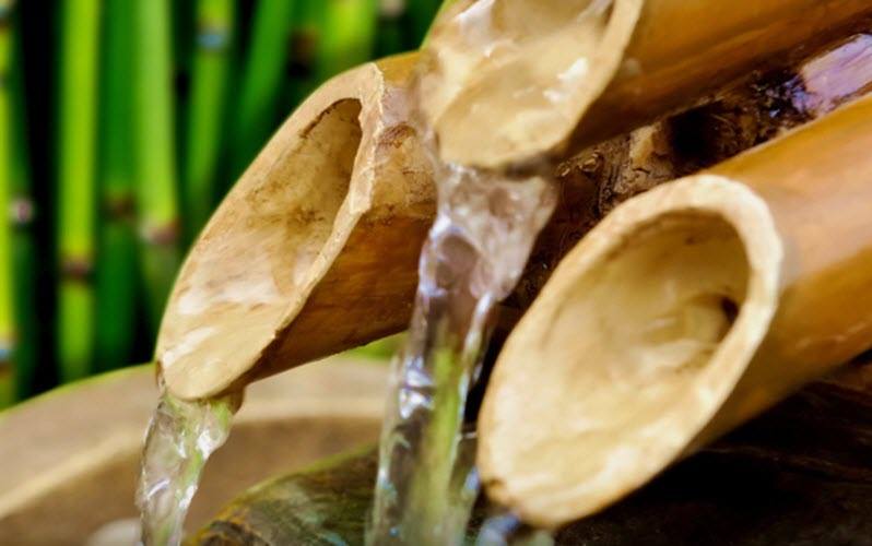 water-bamboo