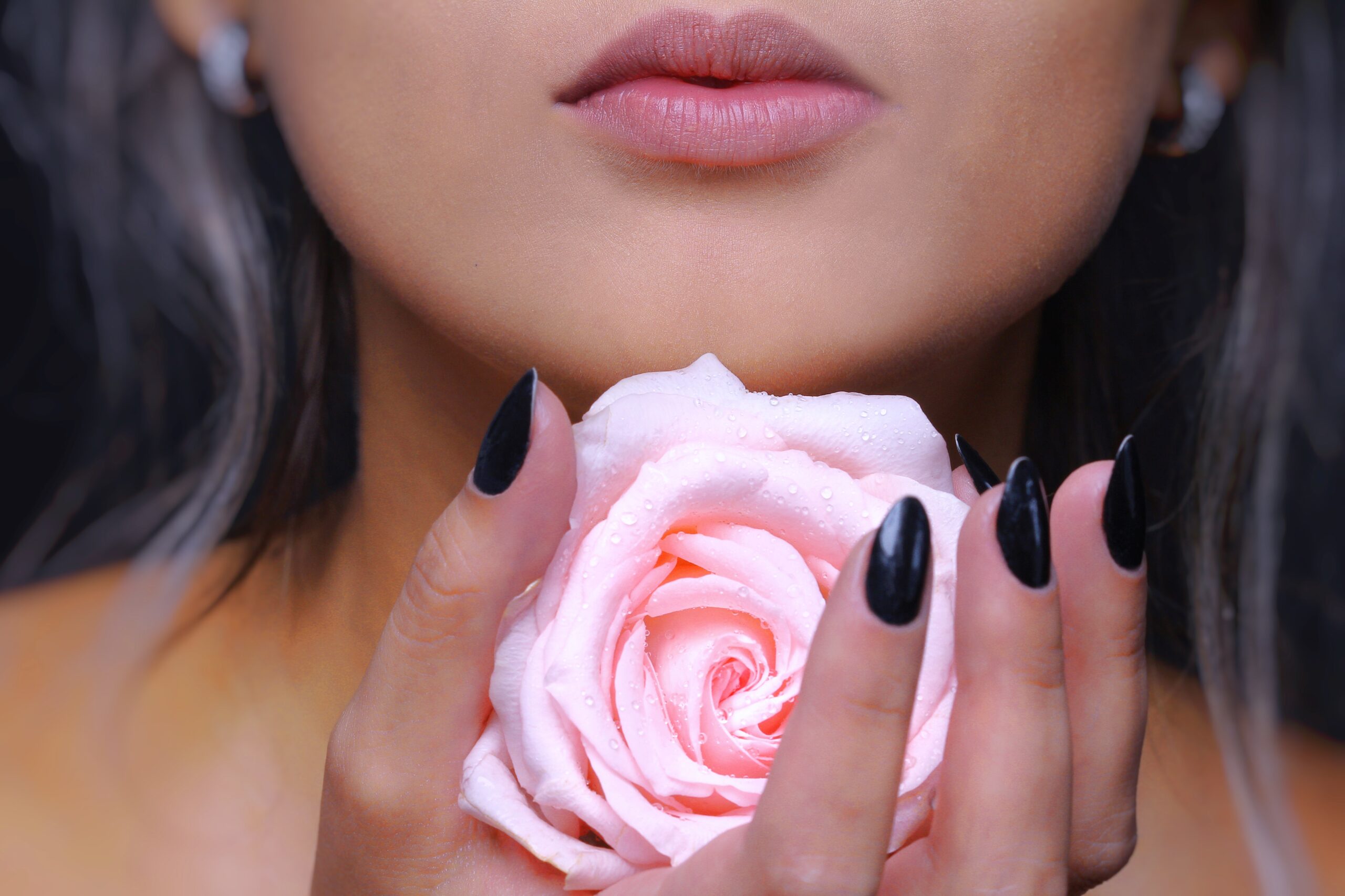woman-holding-pink-rose-flower