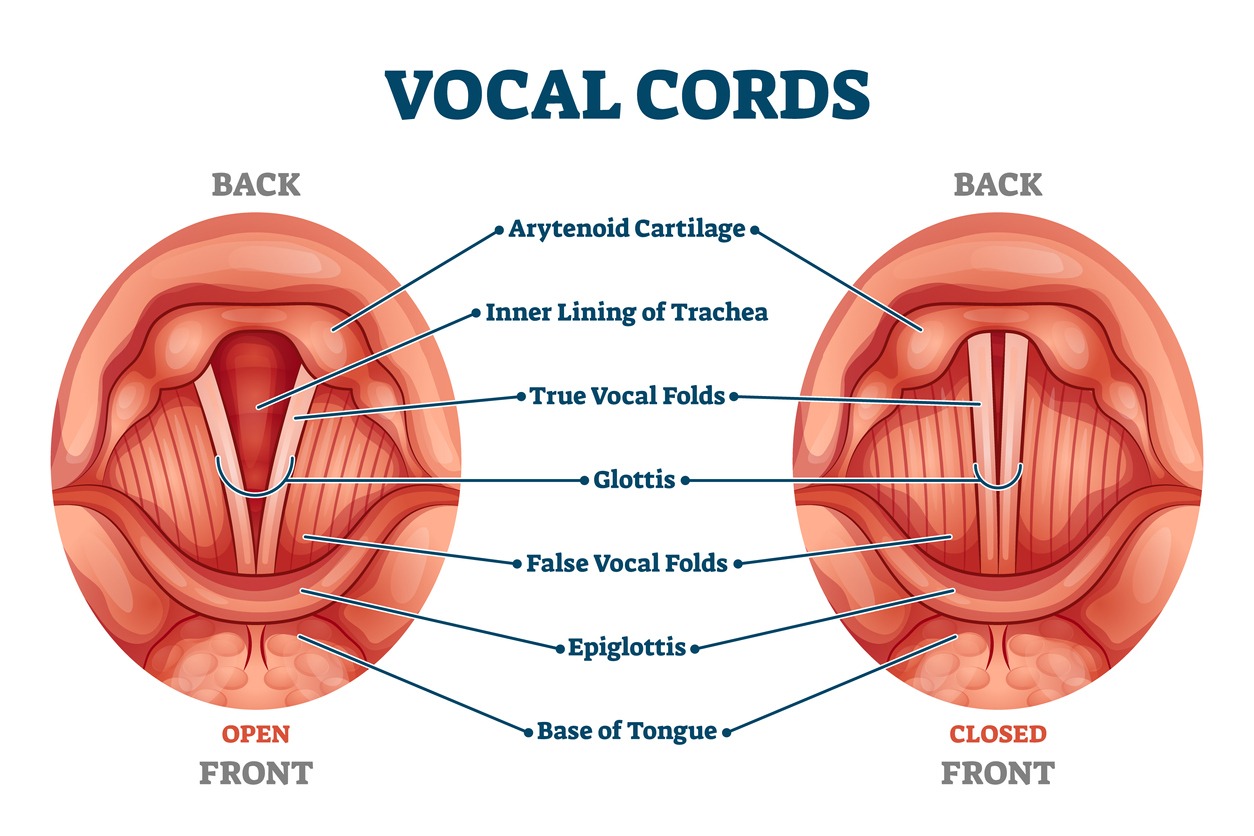 Laryngitis: Coping with the Loss of Voice
