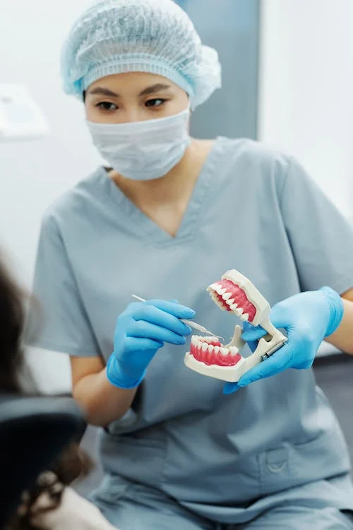 Evaluating Credentials: What to Look for in a Dentist's Qualifications